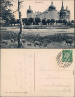 Ansichtskarte Moritzburg Wildschweine Vor Der Moritzburg 1925  - Moritzburg