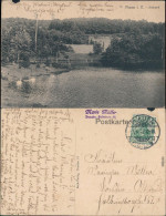 Ansichtskarte Plauen (Vogtland) Partie Im Stadtpark 1912  - Plauen