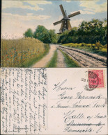 Ansichtskarte  Windmühle Am Feldweg Sommerzeit Stimmungsbild 1919 - Unclassified