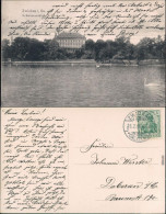 Ansichtskarte Zwickau Schwanenschloß Mit Teich 1908 - Zwickau