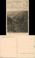 Ansichtskarte Feldberg Blick Ins Wiesental - Blühender Enzian 1930 - Feldberg