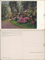Ansichtskarte Schönbrunn Palmenhaus - Azaleen-Ausstellung 1928 - Otros & Sin Clasificación