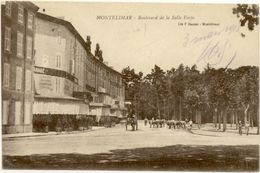 26/CPA - Montélimar - Boulevard De La Salle Verte - Montelimar