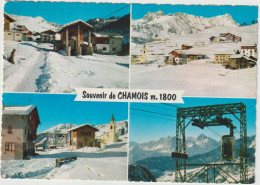 LD61 :  : Italie :  Souvenir    Chamois - Other & Unclassified
