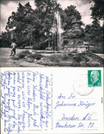 Ansichtskarte Schmiedefeld (Rennsteig) Kurpark Mit Springbrunnen 1964 - Schmiedefeld