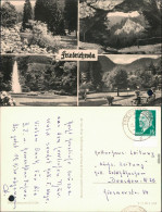 Ansichtskarte Friedrichroda Park, Springbrunnen, Wald, Felsen Mit Loch 1962 - Friedrichroda