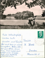 Ansichtskarte Neudorf (Harz) Badeteich 1966  - Andere & Zonder Classificatie