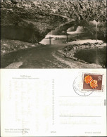 Ansichtskarte Kelbra (Kyffhäuser) Barbarossahöhle, Neptungrotte 1962 - Kyffhäuser