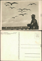 Ansichtskarte  Tiere - Vögel - Auch Ein Geschwader 1934 - Pájaros