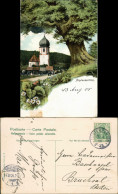 Ansichtskarte Hinterzarten Künstlerkarte - Dorfpartie 1905  - Hinterzarten