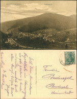 Ansichtskarte Unterreichenbach Blick Auf Die Stadt 1913  - Other & Unclassified