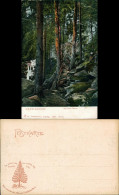 Ansichtskarte Wernigerode Partie An Der Steinernen Renne 1905  - Andere & Zonder Classificatie