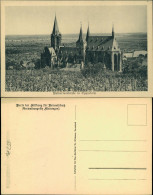 Ansichtskarte Oppenheim Katharinenkirche - Weinreben 1916  - Other & Unclassified