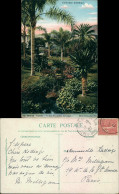 Postcard Monte-Carlo Parkanlage 1907 - Autres & Non Classés