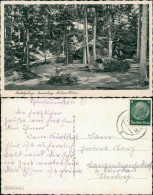 Ansichtskarte Luisenburg-Wunsiedel (Fichtelgebirge) Festspielbühne 1941 - Wunsiedel