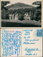 Ansichtskarte Tabarz/Thüringer Wald Lauchagrundstraße 1955 - Tabarz