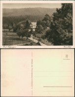 Ansichtskarte Bad Salzungen Grundhof Mit Viel Wald 1928 - Bad Salzungen