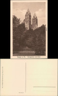 Ansichtskarte Speyer Kaiserdom Mit Domgarten 1917 - Speyer