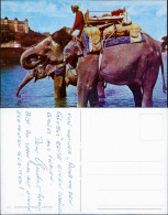 Jaipur जयपुर Jayapur Elephant Ride/Elefantenreiter 1965 - Indien