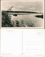 Ansichtskarte Kölpinsee (Usedom)-Loddin Der Kölpinsee 1956 - Sonstige & Ohne Zuordnung