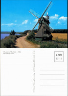 Ansichtskarte Nieby Windmühle Charlotte Am Geltinger Noor 2000 - Andere & Zonder Classificatie