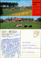Ansichtskarte Gschwend Rappenhof, Erholungsheim, Feriendorf 1990 - Other & Unclassified