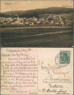 Ansichtskarte Walddorf-Kottmar Panorama Mit Dem Ort Und Wiesen 1913 - Otros & Sin Clasificación