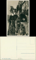 Ansichtskarte Interlaken Beatusstrasse 1931  - Autres & Non Classés