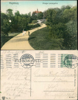 Ansichtskarte Magdeburg Königin Luisengarten 1910  - Autres & Non Classés