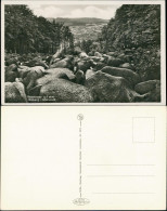 Ansichtskarte Felsberg (Hessen) Felsenmeer 1930 - Otros & Sin Clasificación