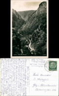 Ansichtskarte Treseburg Bodetal Harz - Blick Vom Bodetor 1941 - Sonstige & Ohne Zuordnung