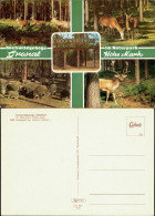 Ansichtskarte Lavesum Hochwildgehege Granat 1975 - Altri & Non Classificati