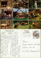 Ansichtskarte Pforzheim Wildpark 1992 - Pforzheim