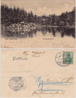 Postcard Bad Salzbrunn Szczawno-Zdrój Partie Am Schwedenteich 1906  - Schlesien