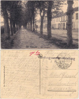 Postkaart Diksmuide Dixmude Den Lindenlaan/Lindenstrasse 1916  - Other & Unclassified