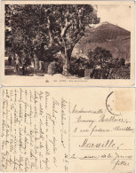 Postcard Oran ‏وهران‎ Vue Panoramique 1935 - Unclassified