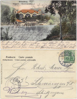 CPA Straßburg Strasbourg Orangerie - Hauptrestauration 1905 - Straatsburg