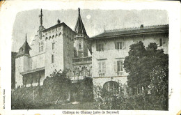France - (01) Ain - Seyssel - Château De Chanay - Seyssel