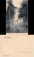 Ansichtskarte Wernigerode Kaiserturm Auf Dem Armeleuteberg 1906  - Autres & Non Classés