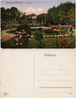 Ansichtskarte Ohlsdorf-Hamburg Partie Im Rosarium 1914  - Other & Unclassified