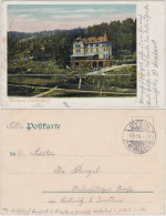 Ansichtskarte Lückendorf-Oybin Kurhaus Lückendorf 1916  - Oybin