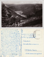 Thale (Harz) Kunzental Foto Ansichtskarte 1939 - Autres & Non Classés