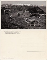 Ansichtskarte Vitznau Alphornbläser Auf Schreibers Hotel Rigi Kulm 1932 - Other & Unclassified