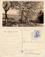 Postcard Elhenitz Lhenice Frühlingsblüte Blick Auf Dem Ort 1954 - Czech Republic