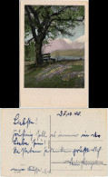 Ansichtskarte  Blumenwiese Mit Baum Und Bank Blick Zu Den Bergen 1944 - Sonstige & Ohne Zuordnung