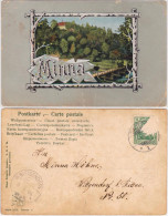 Ansichtskarte  Minna - Namens-Ansichtskarte 1904 Stempel Bautzen - Unclassified