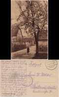 Ansichtskarte  Kind Auf Dorfstraße Baum In Frühlingsblüte 1918 - A Identifier