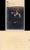 Ansichtskarte  Herrenhaus 1930 - Zu Identifizieren