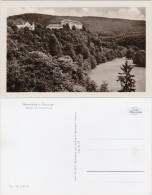 Schwarzburg Schloss Mit Hirschwiese Foto Ansichtskarte 1955 - Sonstige & Ohne Zuordnung