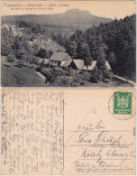 Krippen Bad Schandau Krippengrund, Röllingmühle Ansichtskarte  1926 - Bad Schandau